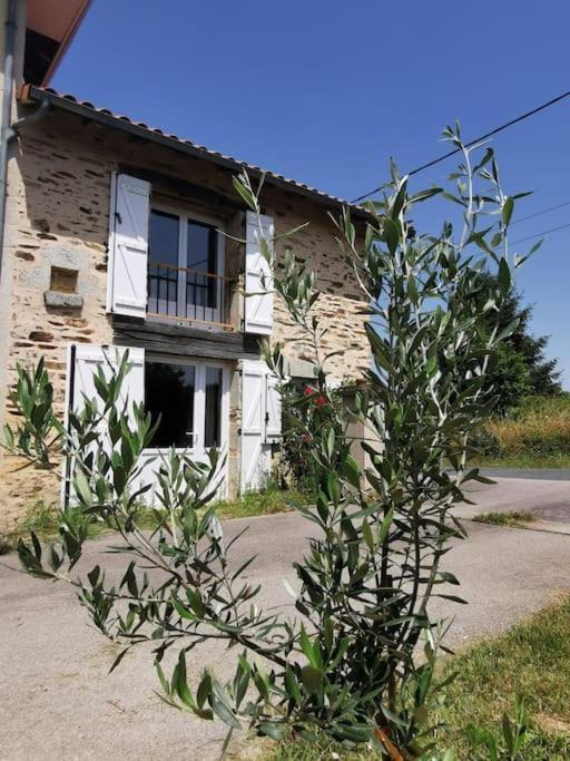 Villa La Grange De Pierrot Saint-Bazile Esterno foto